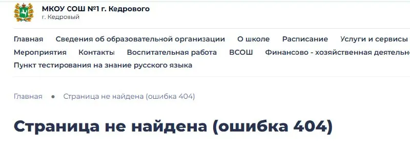После критики с сайта школы в Томской области убрали документ, который запрещал ученикам приходить в школу в одежде с надписями на иностранных языках. Руководство утверждает, что инициатива исходила от регионального департамента образования.