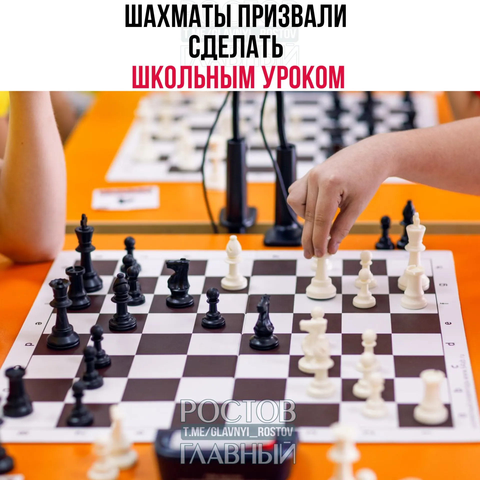 В Общественной палате предложили сначала ввести шахматы в школах как дополнительное занятие, а затем сделать их обязательным предметом, отметив пользу для памяти, логики и стратегического мышления.