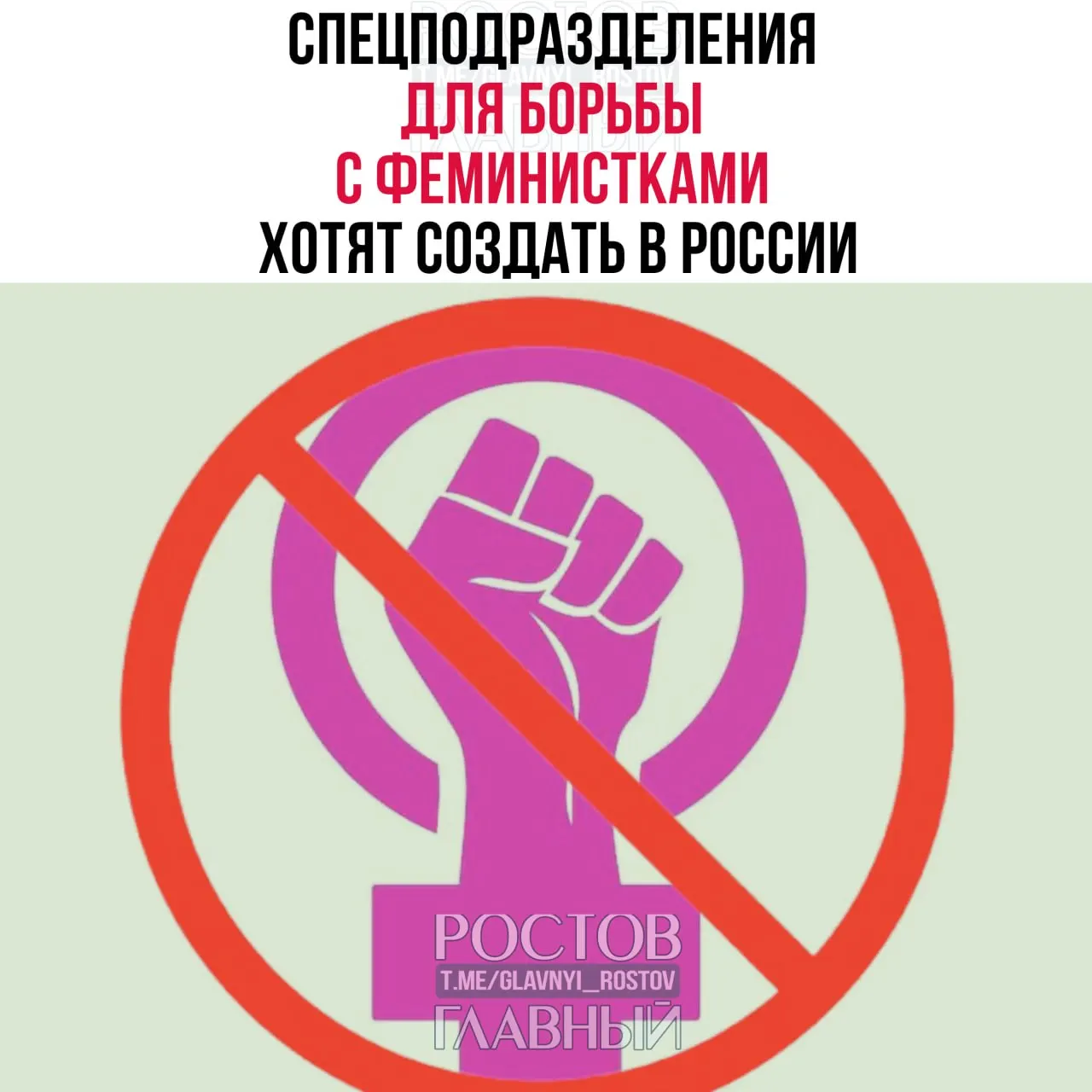 Инициатива предполагает создание структур для отслеживания «радикальных» высказываний в сети, привлечение к ответственности за оскорбления мужчин и введение в школах уроков по «предотвращению фем-идей» у девочек.
