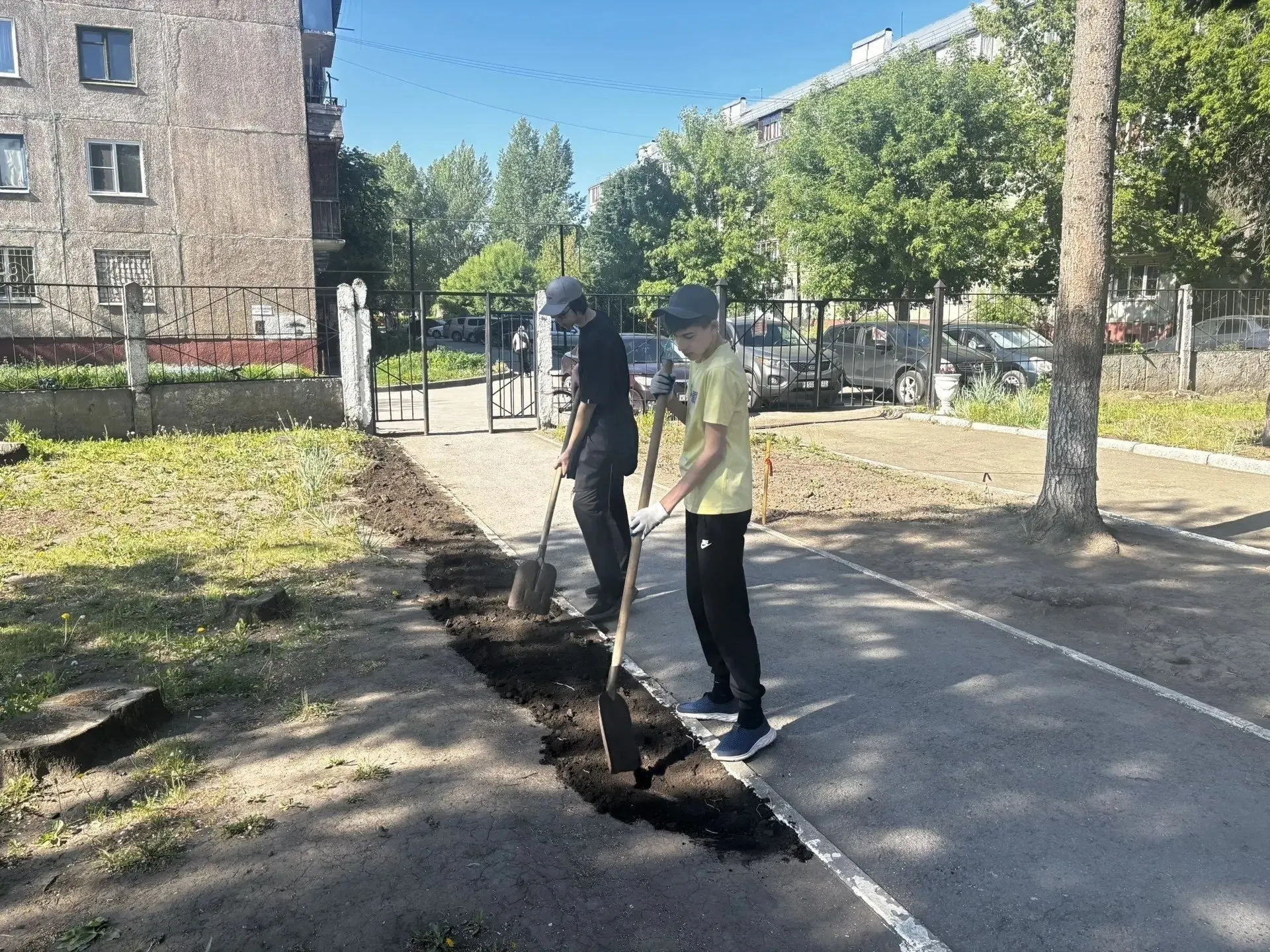 Городской комитет по образованию организует летние рабочие смены: уже в первую неделю июня к работе приступили 233 школьника, летом планируется трудоустроить свыше 800 учеников из 63 школ.