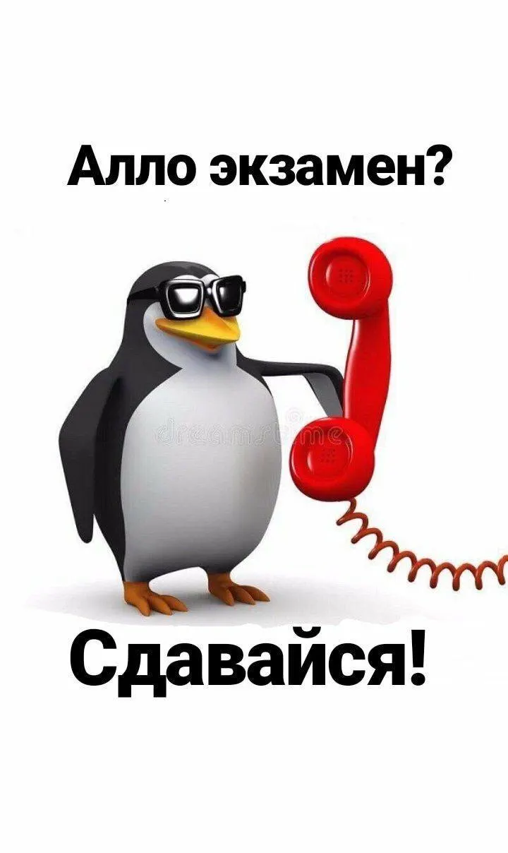 Во время ЕГЭ по истории в Чите с экзамена вывели школьницу: проводится проверка по факту возможной передачи КИМ через микрокамеру. По региону также идут проверки похожих случаев.