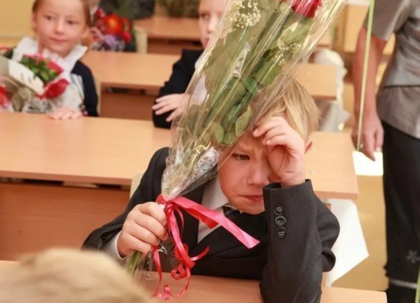 Замглавы Минпросвещения заявил, что 11-летняя модель обучения считается оптимальной; стандарты и донастройки будут вводить с учётом именно 11 классов.