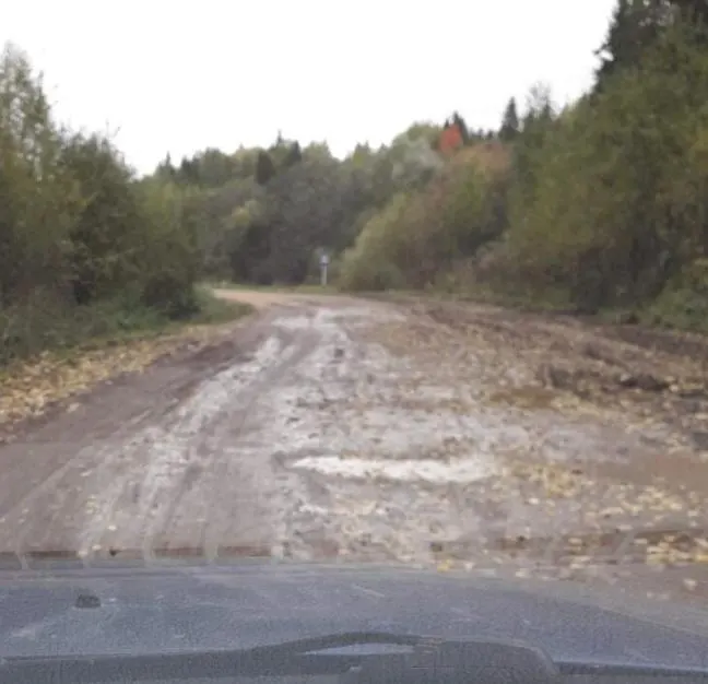 В селе Чекмени Нытвенского округа решили закрыть местный детский сад и перевозить детей в Нытву. Местные обеспокоены состоянием дороги; надзор обязал привести её в порядок к осени.