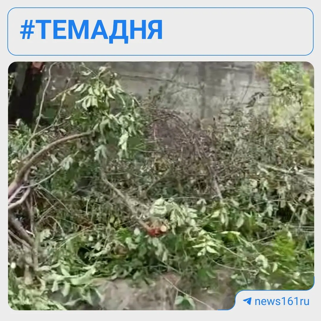 У XVIII‑векового родника Сурб-Хач неизвестные вырубили деревья и пытались начать строительство трапезной без документов и согласований. Работы приостановлены, ведётся согласование с комитетом по охране объектов культуры.