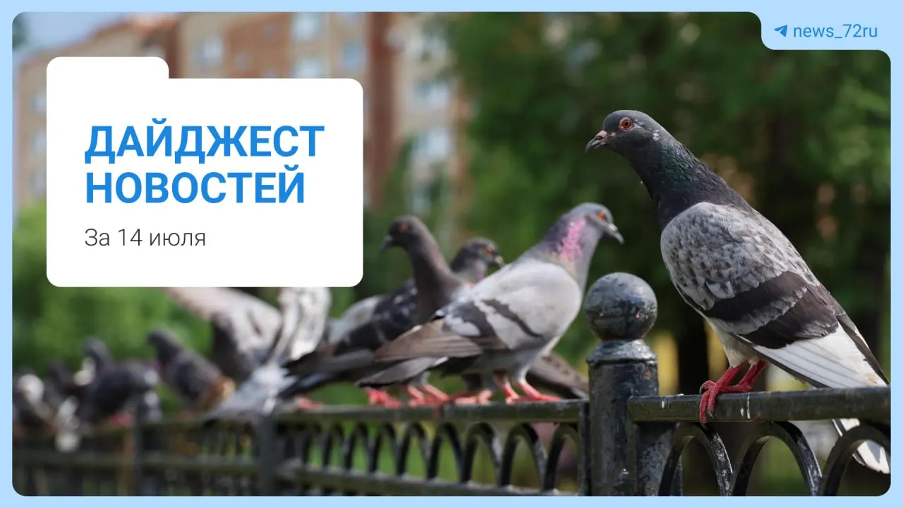 Жителям раздают листовки о переходе парковок в центре на круглосуточную платную основу. Также в дайджесте — реорганизация вузов, внесение блогера в список экстремистов, закрытие пляжа и другие события.