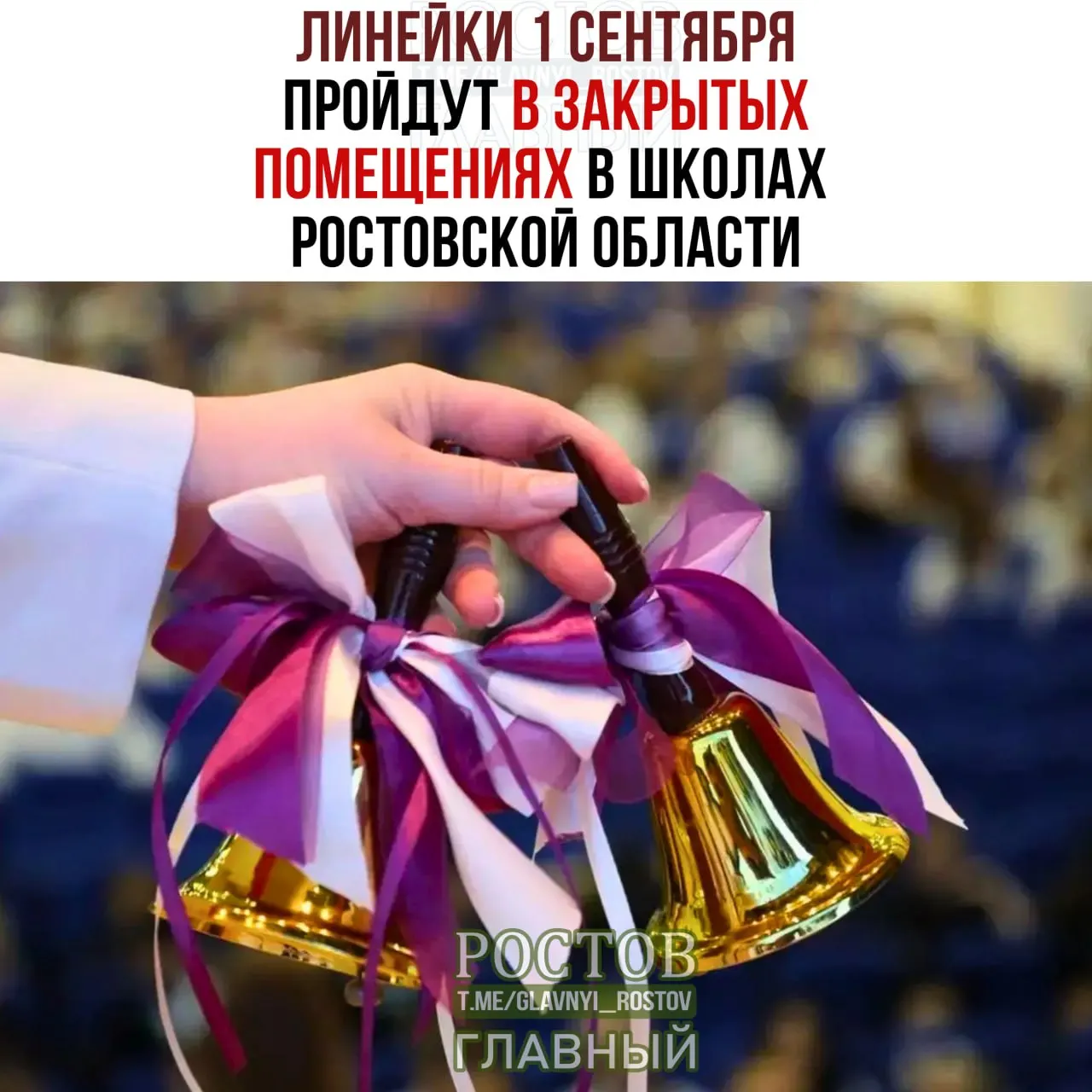 Линейки пройдут в закрытых помещениях; гостей ограничат. Порядок обеспечат более 4,5 тысячи сотрудников, а школы будут заранее проверены, включая участие служебных собак.