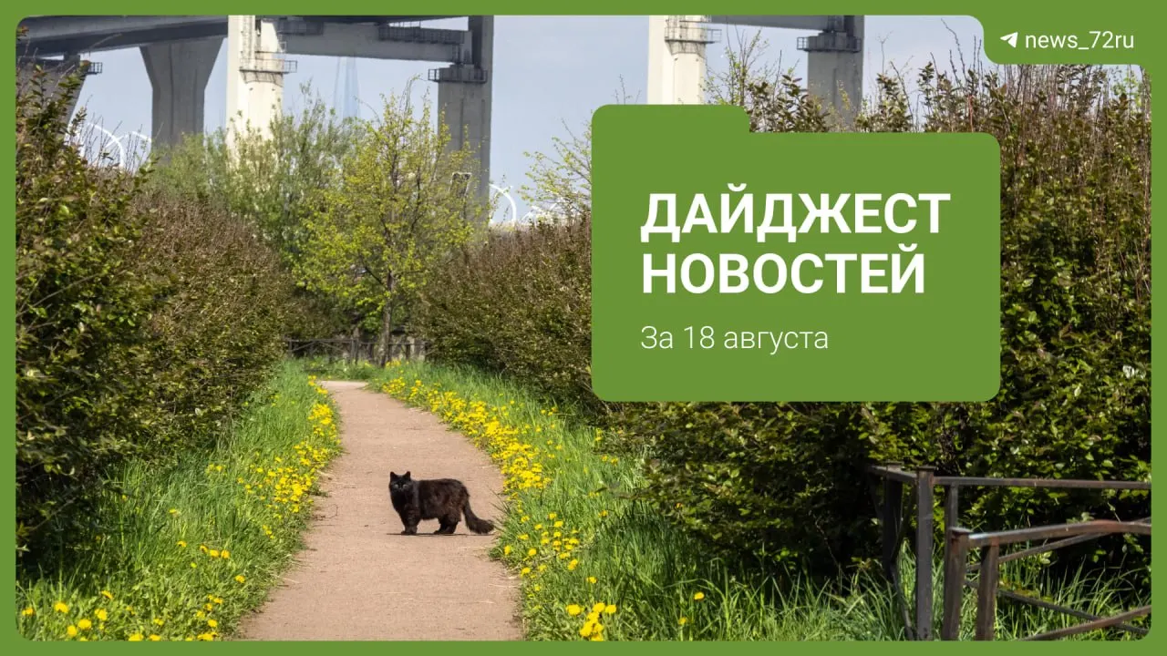 Истории семей о поступлении в колледжи, аварии и перерасчеты за воду, фестиваль и другие городские новости.