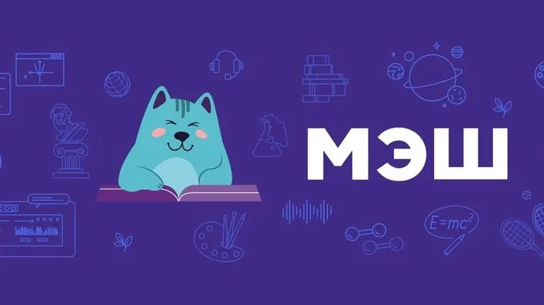 С 1 сентября образовательные учреждения региона переведут на платформу МЭШ; изменения затронуты дневники и финансирование.