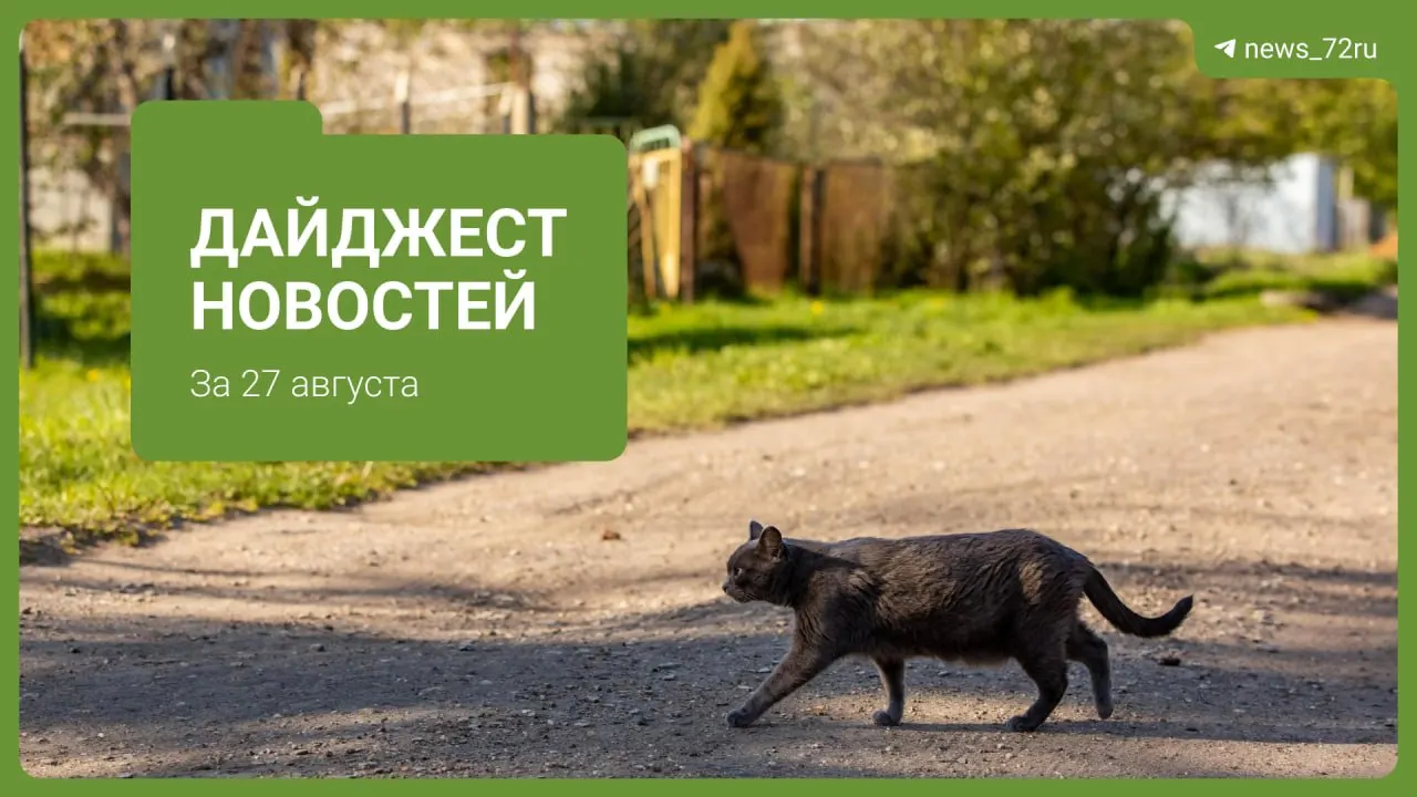 В регионе фиксируется рост стоимости бензина, происходят инциденты и обсуждаются вопросы образования и транспорта.