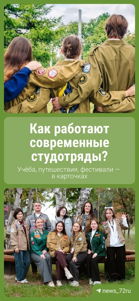 Краткий обзор истории студотрядов и их роли в регионе: от истоков в 1959 году до современного уровня, когда в регионе действуют около 50 отрядов и заняты более тысячи студентов.