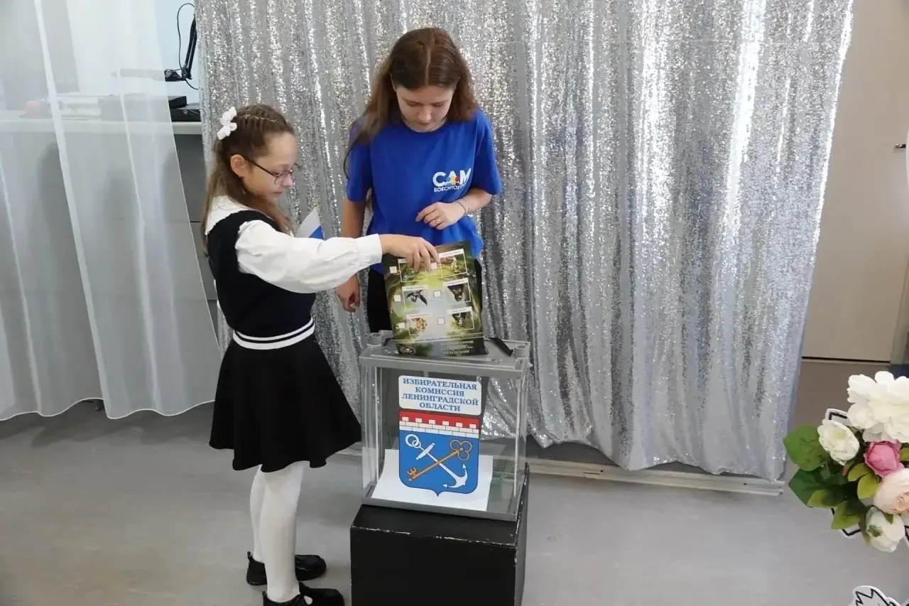 Ученики участвуют в имитационных выборах между условными партиями, чтобы освоить основы гражданской ответственности.