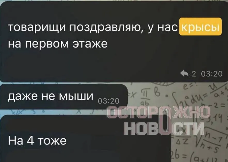 Студенты ВГИКа жалуются на крыс в общежитии и угрозы отчисления за подачу жалоб; ситуация вызывает обеспокоенность условиями проживания.