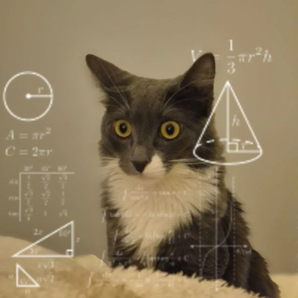В регионе запущен образовательный проект: углублённое изучение физики, математики, химии и информатики с практикой на энергетическом объекте.