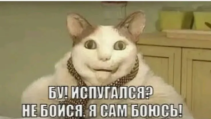 Официальные разъяснения по празднику в школах региона: Хэллоуин не входит в основной образовательный план, однако воспитательная работа может опираться на отечественные традиции и творческие подходы.